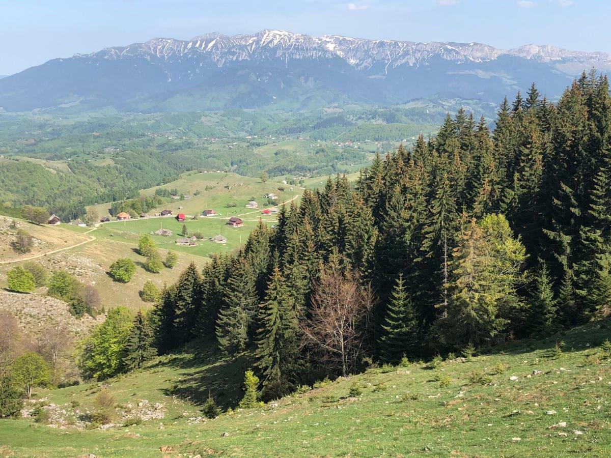Villa Casa Marioara Şirnea Esterno foto